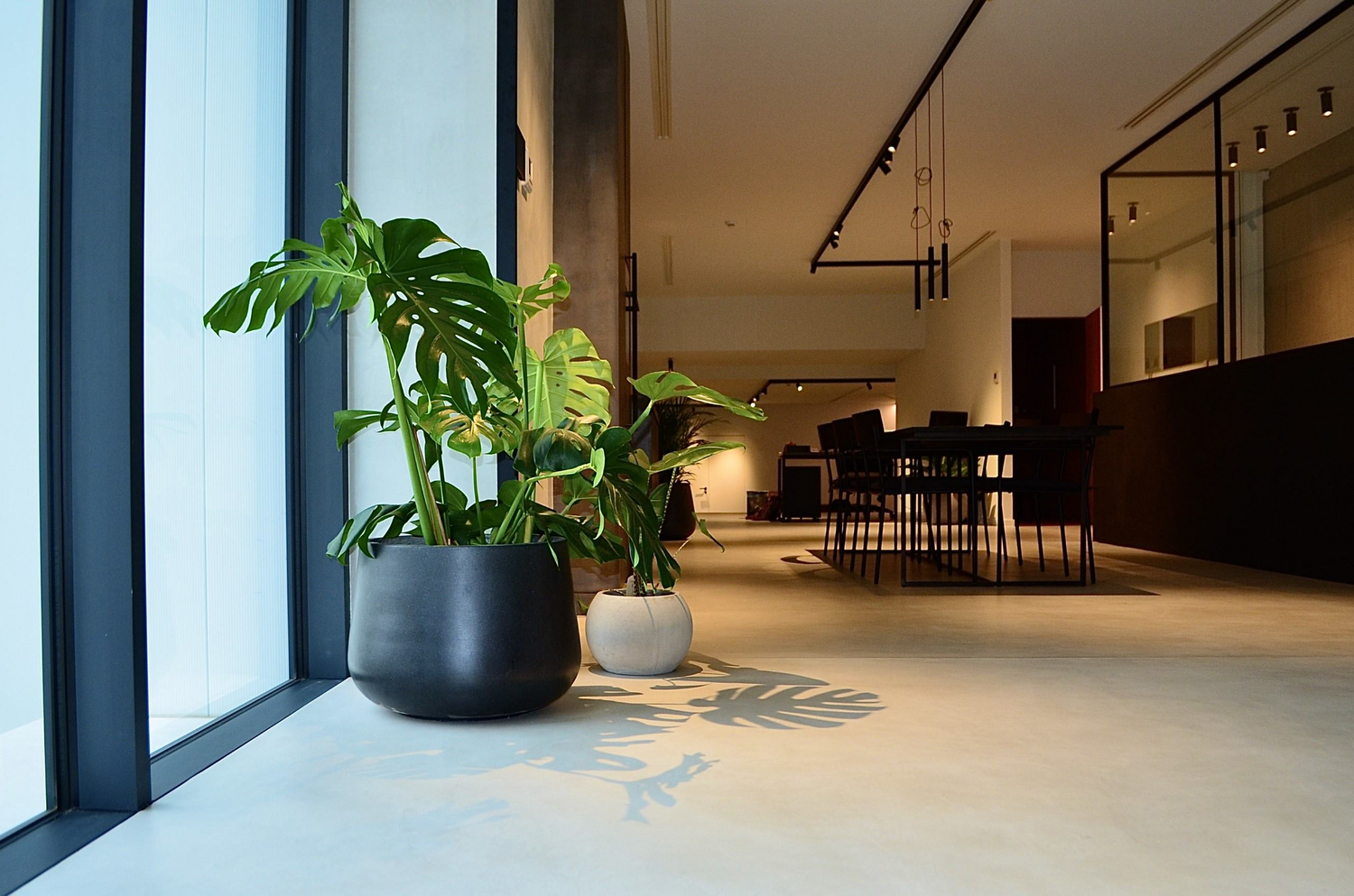 Explorez l'Élégance Durable avec l'Enduit Mortex au Maroc : Un Choix Esthétique et Pratique pour Vos Projets de Construction et de Rénovation !"