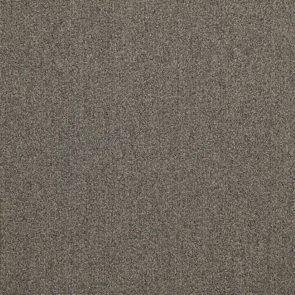 Moquette en dalle plombante Bouclée 50x50cm AVENUE-750 - Revêtement Maroc
